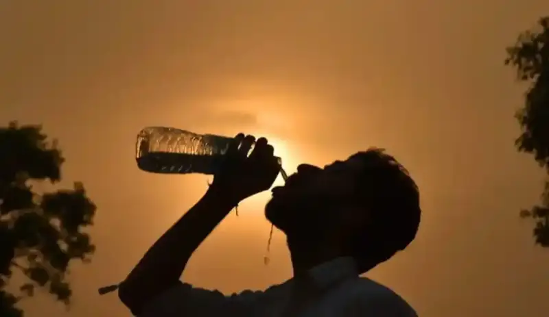 الطقس غدًا في الجزائر