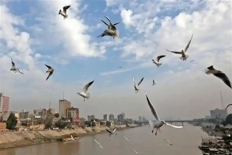 الطقس غدًا في العراق
