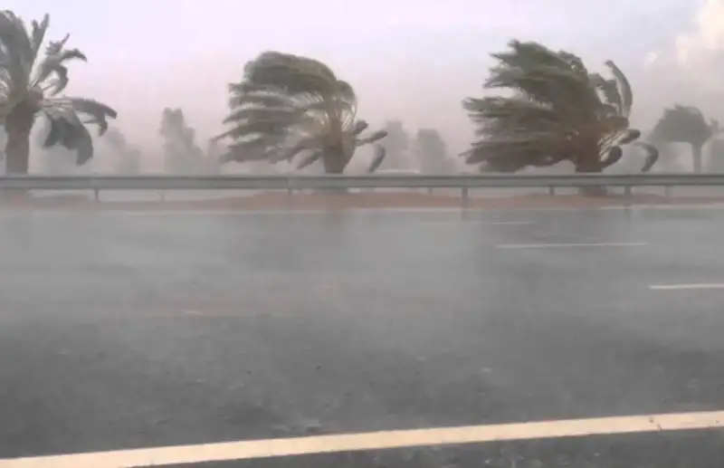 حالة الطقس في الجزائر