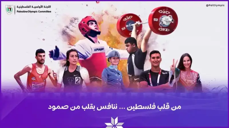 التصنيف الدولي للكاراتيه