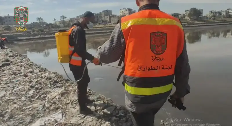 مكافحة الحشرات في غزة