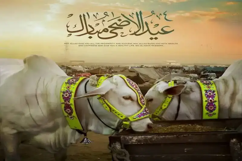 موعد بداية ذي الحجة وعيد الأضحى 2025