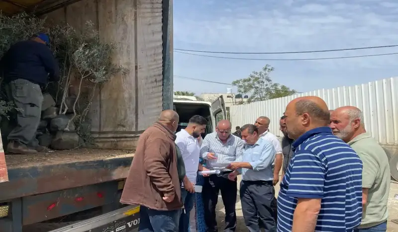 توزيع شتلات زيتون على المزارعين في القدس