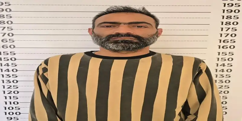 عروة سليمان