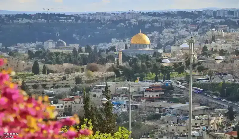 طقس فلسطين