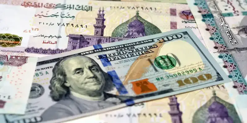 سعر صرف الدولار مقابل الجنيه المصري