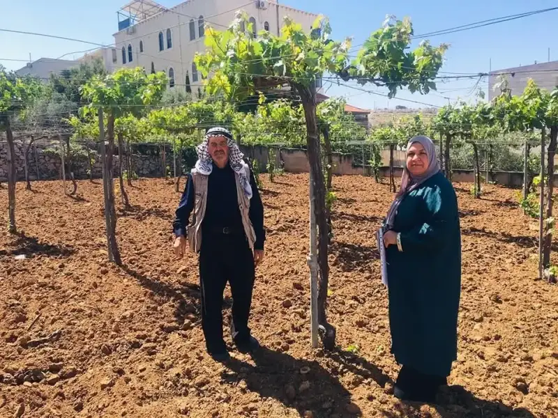 جولة إرشادية لمزارعي العنب في الخليل