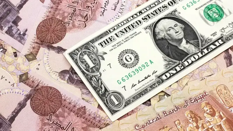 سعر صرف الدولار مقابل الجنيه المصري