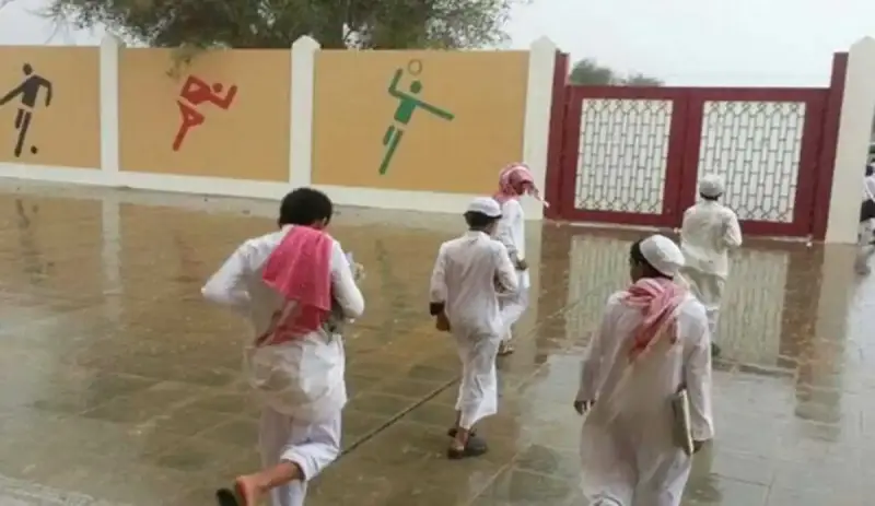 تعليق الدراسة في المملكة