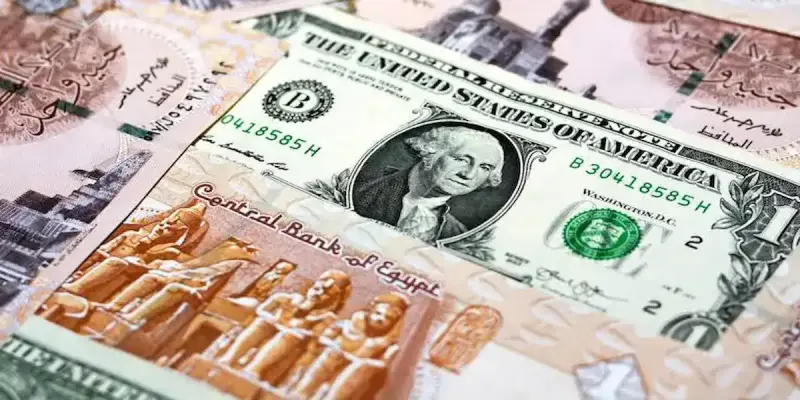 سعر صرف الدولار مقابل الجنيه المصري
