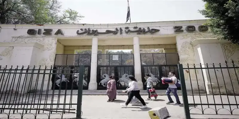 هل حديقة الحيوان في مصر مفتوحة الآن