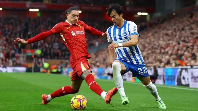 ليفربول وبرايتون