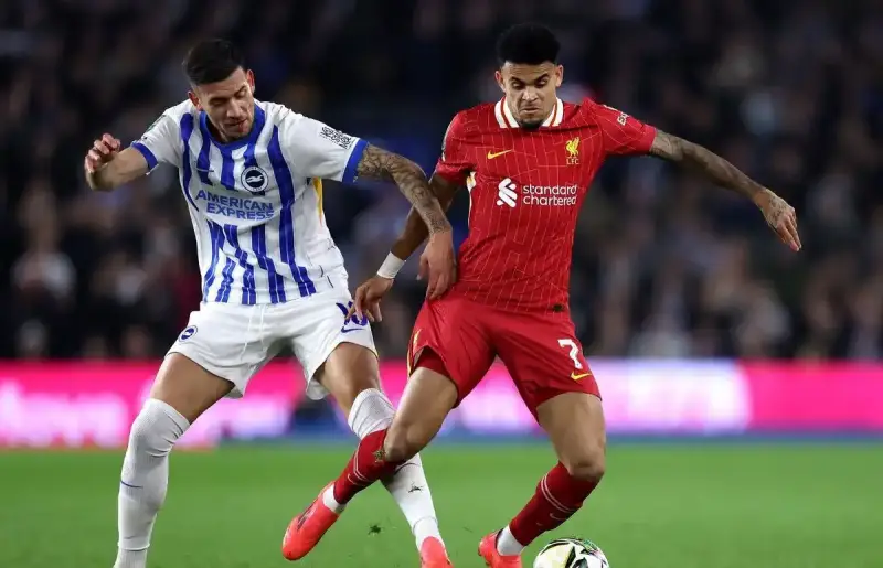برايتون ضد ليفربول