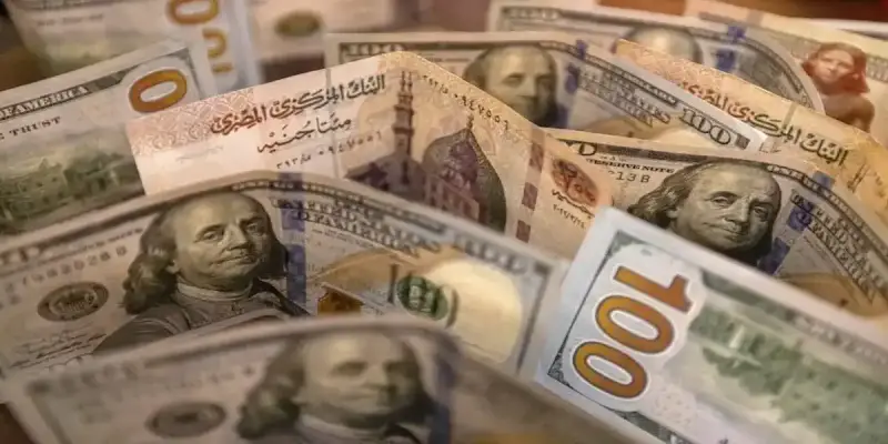 سعر صرف الدولار مقابل الجنيه المصري