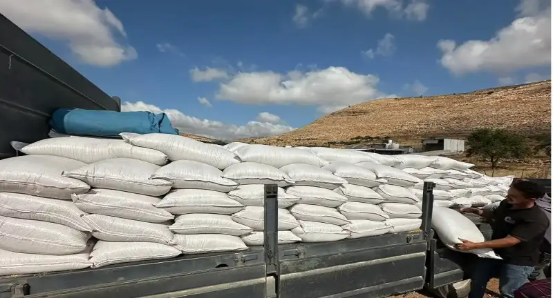 توزيع شعير على مربي الأغنام برام الله