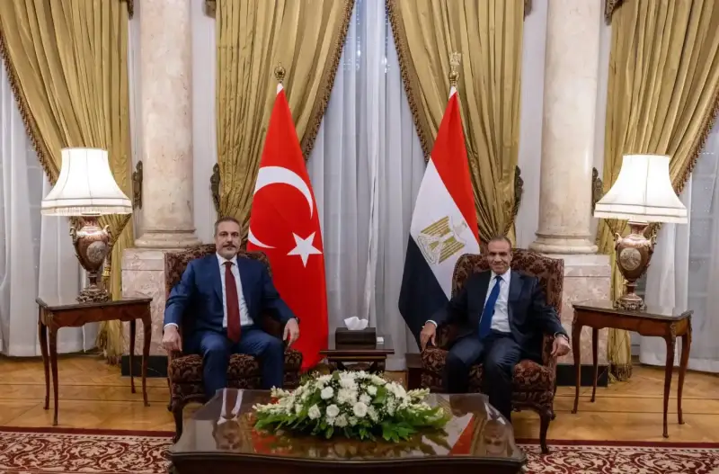 وزير الخارجية المصري ونظيره التركي