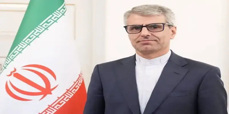 إسماعيل بقائي المتحدث باسم وزارة الخارجية
