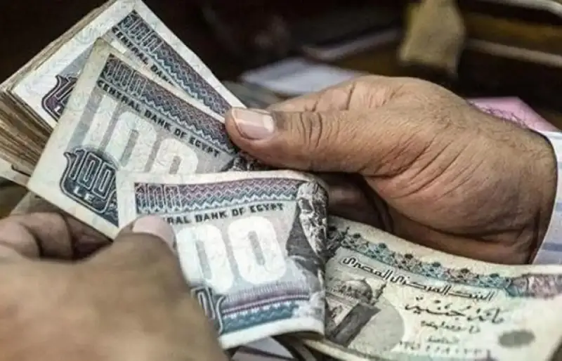 زيادة مرتبات أعضاء هيئة التدريس