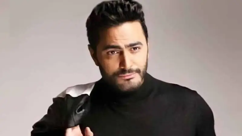الفنان المصري تامر حسني