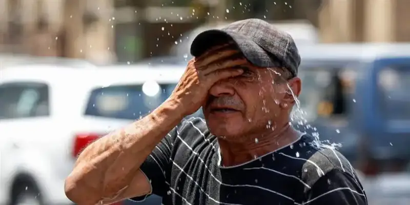 الطقس في مصر اليوم وغدًا