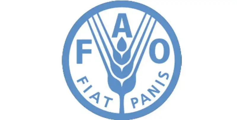 فاو