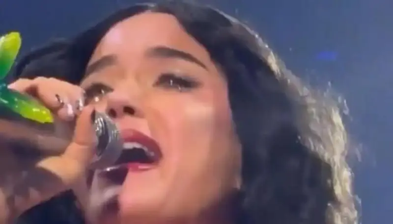 المغنية الأمريكية كاتي بيري