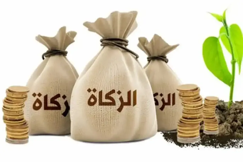 نصاب الزكاة 2025 بالجزائر