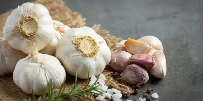 فوائد تناول الثوم النيء