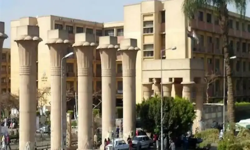 جامعة عين شمس الأهلية