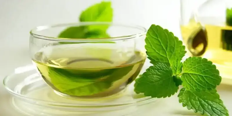 فوائد النعناع للجسم