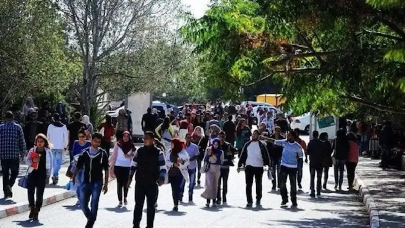 كليات جديدة في تنسيق المرحلة الأولى للجامعات المصرية 2025