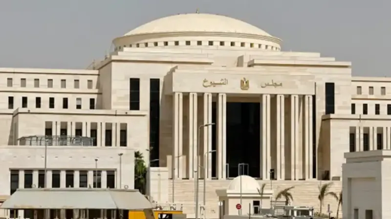 موعد انتخابات مجلس الشيوخ 2025 في مصر