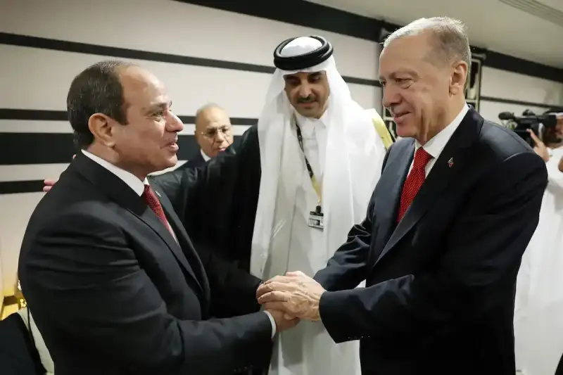 السيسي واردوغان