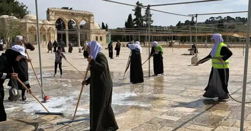 تنظيف الاقصى
