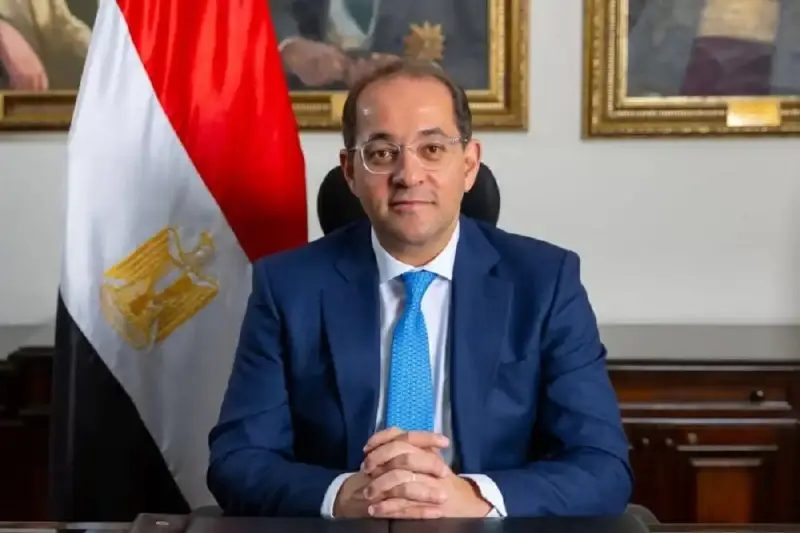 أحمد كجوك وزير المالية المصري