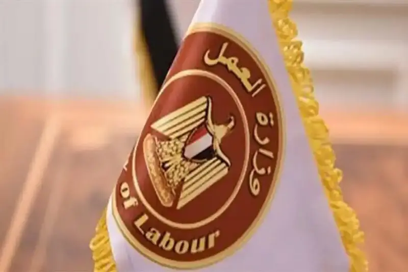 وزارة العمل المصرية