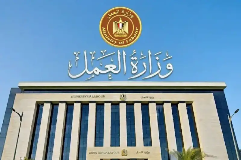 وزارة العمل المصري