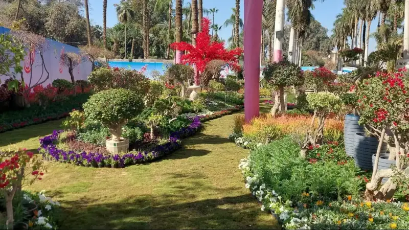 معرض الزهور بالمتحف الزراعي في مصر