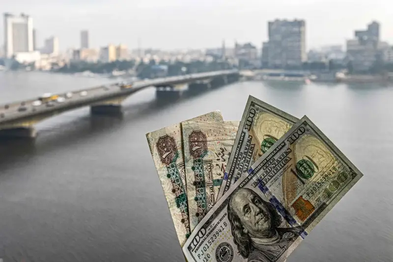 سعر الدولار مقابل الجنيه المصري اليوم