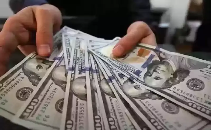 سعر الدولار مقابل الجنيه المصري اليوم
