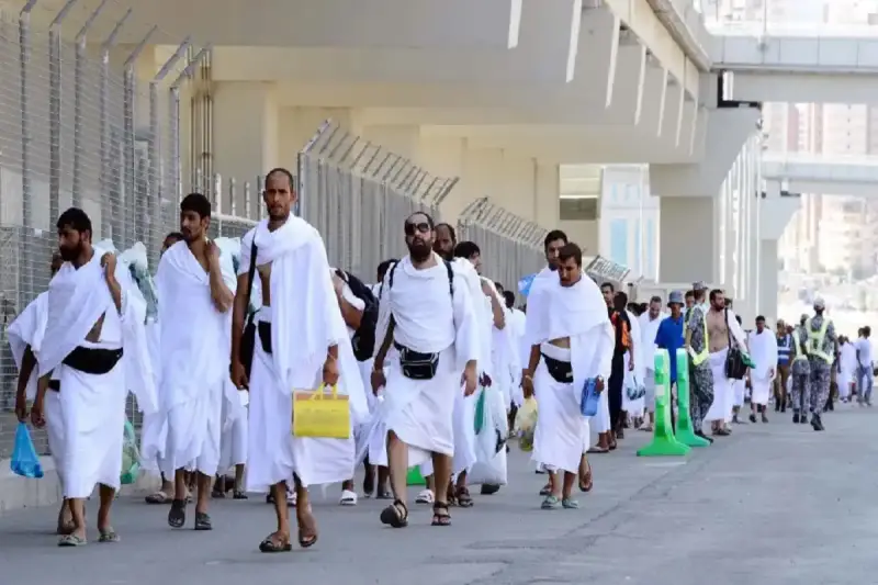 تفويج الحجاج
