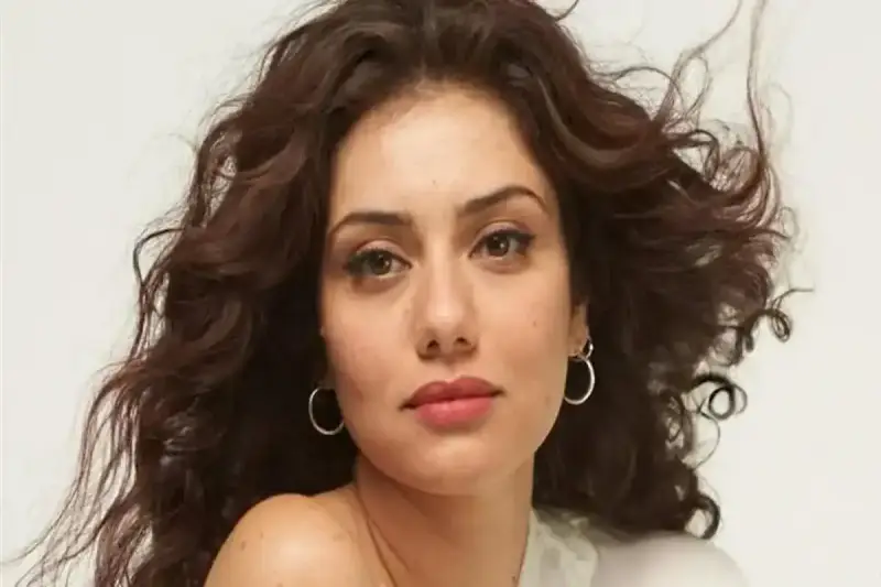 الفنانة جيهان الشماشرجي