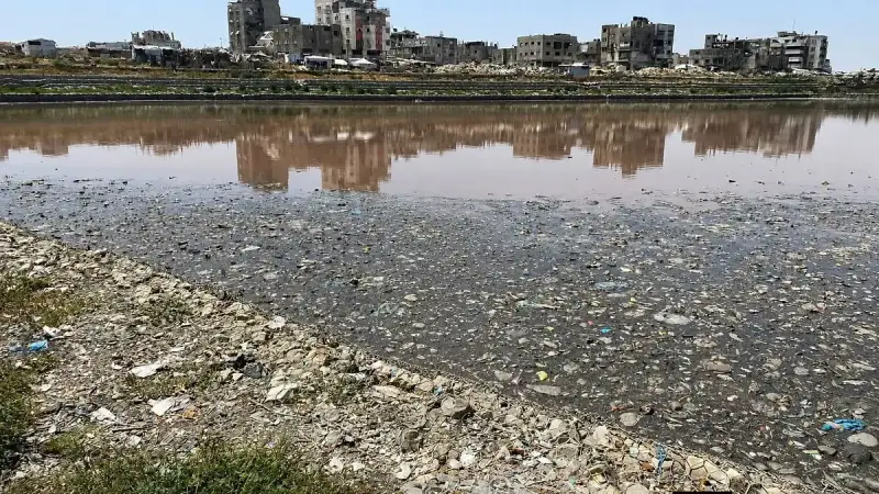 بركة الشيخ رضوان في غزة