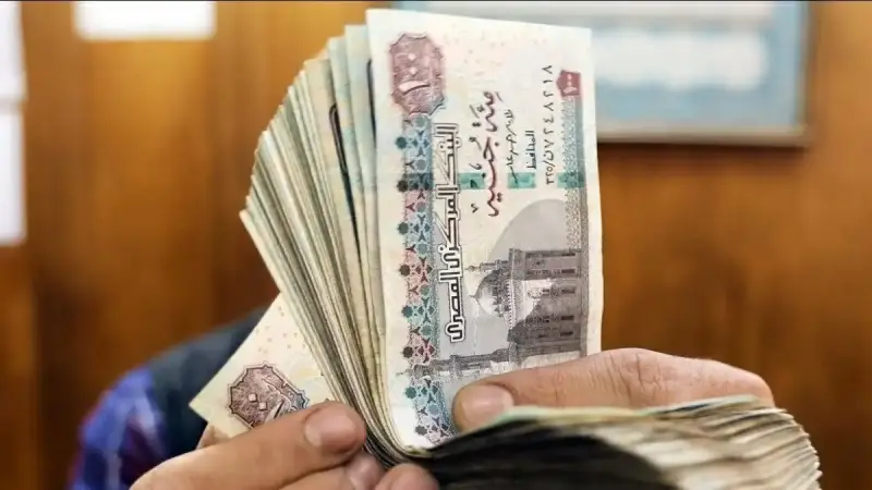 منظومة الدعم النقدي الجديدة في مصر