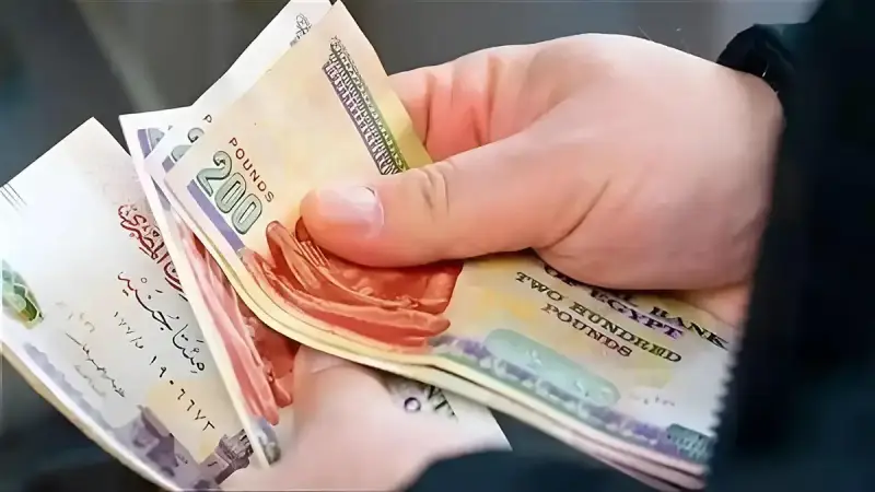 معاشات يوليو 2026 في مصر