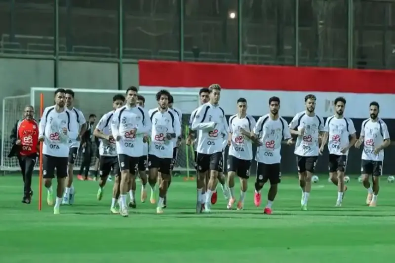 مصر ونيوزيلندا