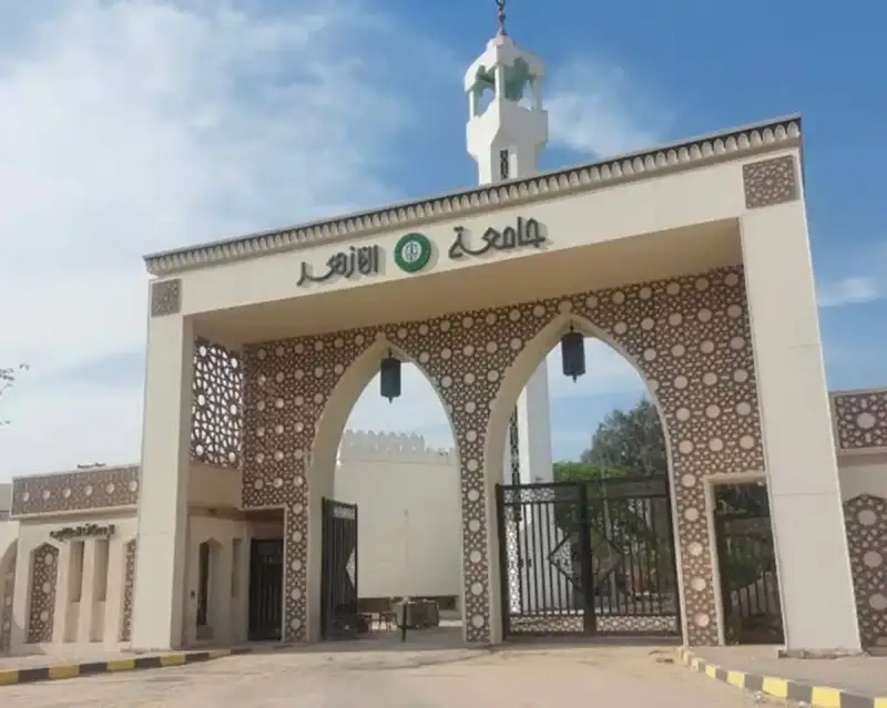 نظام السمر كورس