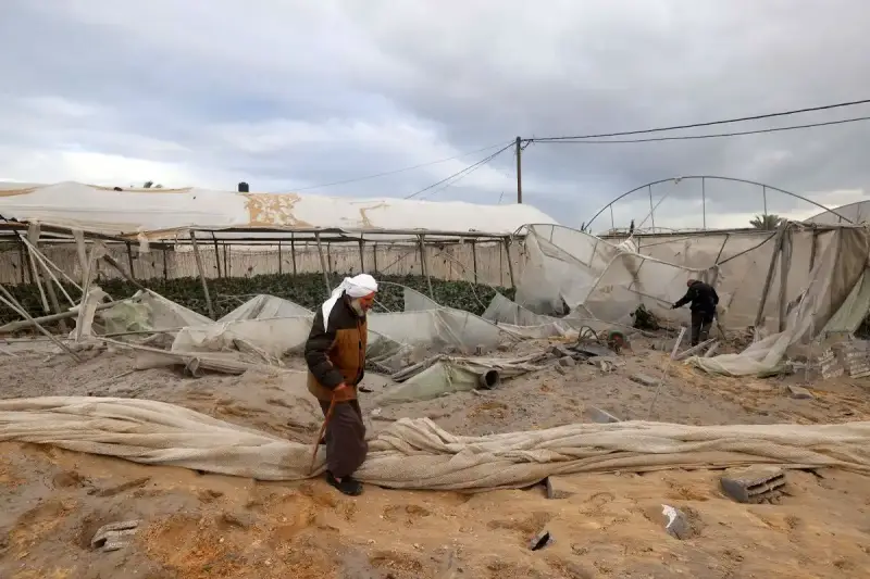 الزراعة في غزة