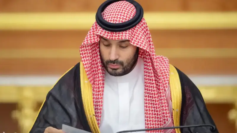 نظام إيرادات الدولة بالمملكة