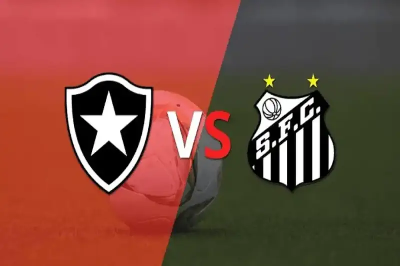 botafogo vs santos